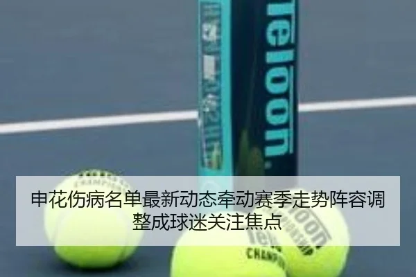申花伤病名单最新动态牵动赛季走势阵容调整成球迷关注焦点 - huatihui